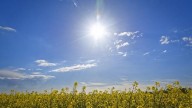 Del frío al abrigo del sol: domingo de elecciones con cielo despejado