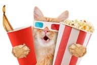 Pop!_OS 24.04 beta and COSMIC beta arrive • The Register