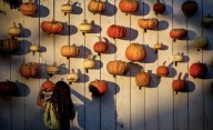 Ready for fall? Check out these perfect autumn outings