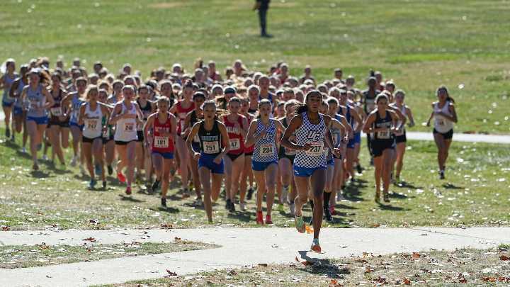 Cross country preview, 2025: Compelling storylines to watch this season