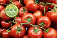 Ofertas “Martes de Frescura” 9 de septiembre: ¿Cuánto cuesta el kilo de jitomate y otras frutas y verduras?