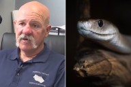 EMTs Under Fire for Treating Man with Antivenom After He Was Bitten by Snake