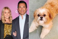 Kelly Ripa, Mark Consuelos 'Considering' Adopting a Dog After Pet Chewie's Death (Exclusive)