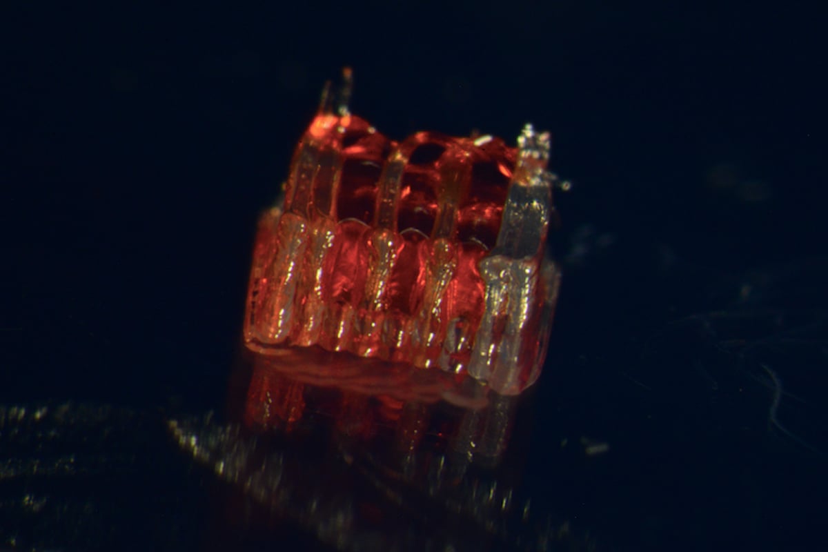 3D Printing Offering Hope For Spinal Cord Injuries
