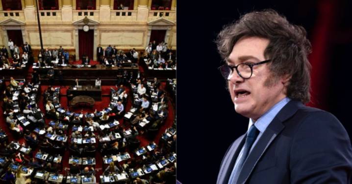 Vetos de Javier Milei: el panorama que tienen las leyes de ATN, universidades y el Garrahan en el Congreso