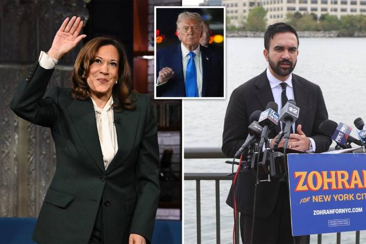Kamala Harris offers half-hearted endorsement of NYC mayoral candidate Zohran Mamdani: 'Sure'
