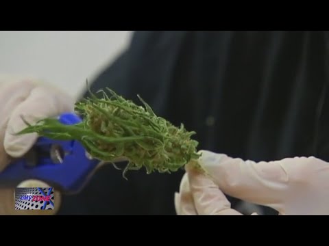 New Maryland laws start October 1
