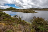Con más de un millón de árboles nativos, Boyacá restaurará 352,6 hectáreas de páramo