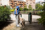 Las áreas caninas de Madrid están “en mal estado y sin censar”, pero Almeida promete duplicarlas para 2027