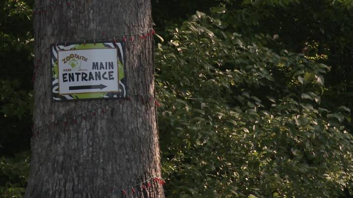 Quit monkeying around: Monkey on the loose in Iredell County