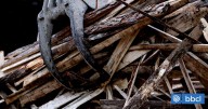 Seremi del Trabajo vincula cierre de aserraderos a baja del robo de madera: le piden no generalizar