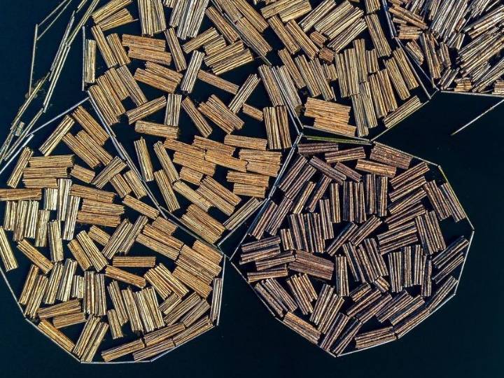 Trump sets lumber, wood tariffs in bid to boost U.S. industry