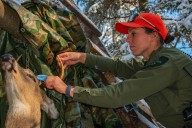 Michigan DNR faces deep program cuts under Republican budget plan