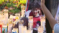 Driver who struck, killed boy, 9, released without charges