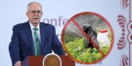 México prohíbe por decreto el uso de 35 moléculas de plaguicidas