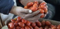 Productores neuquinos se capacitan para una horticultura responsable