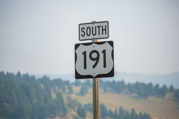 Horses, mule, grizzly cub killed by vehicles south of Big Sky 