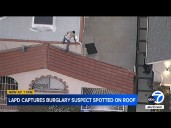 LAPD arrests burglary suspect spotted on rooftop after using lemon picker, garden hose