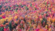 Day and night get equal billing Monday as fall equinox arrives. Here’s what to know
