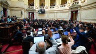 Uno por uno, cómo votó cada senador en la sesión que rechazó al veto de Javier Milei a la ley de los ATN