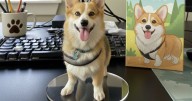 Google Gemini: así puedes crear tu imagen en 3D y sumarte a la tendencia en redes sociales