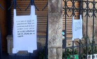 "A la que le deja comida a los gatos, un par de balas en la frente": amenazas y escándalo en barrio céntrico de La Plata