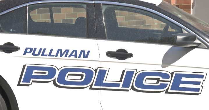Pullman police look for early-morning shooting suspect