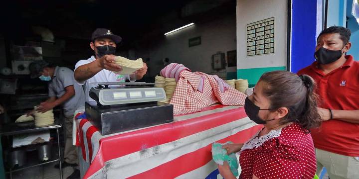 Se mantiene en 26 pesos el kilo de tortilla en la ZMO