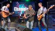 Chameleon kicks off Franke Center’s 2025
