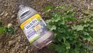 Bottle Of Welch's Grape Juice Discovered Near Site Of Last Supper