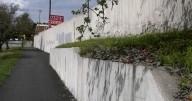 Bangor Beautiful, Maine Audubon partner on new mural and garden project