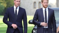 Prince Harry and Prince William to reconcile 'in the not