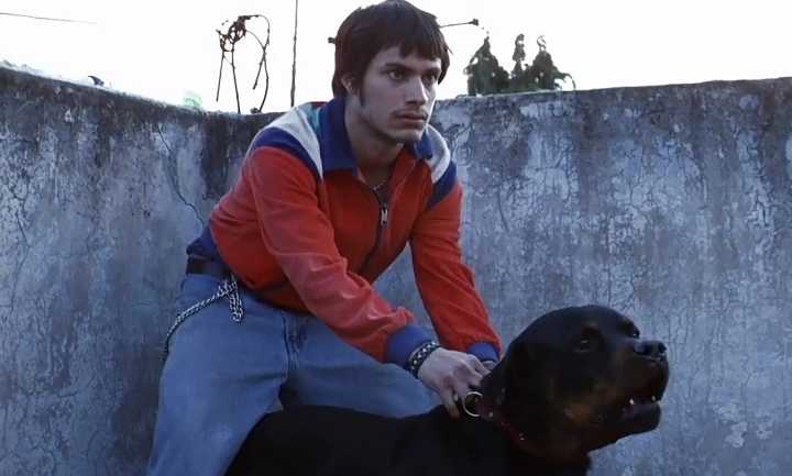 Amores Perros regresa a cines por su 25 aniversario