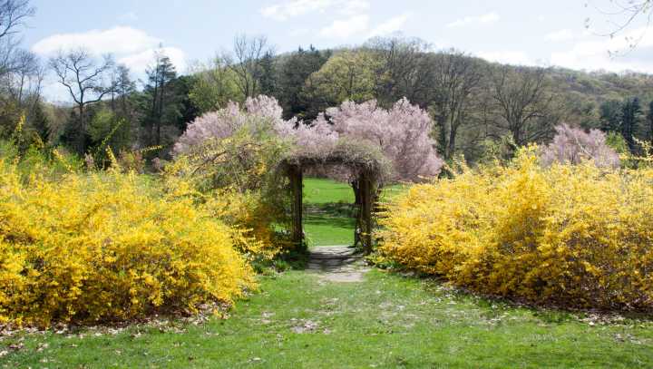 Skylands celebrates 40 years as New Jersey’s State Botanical Garden