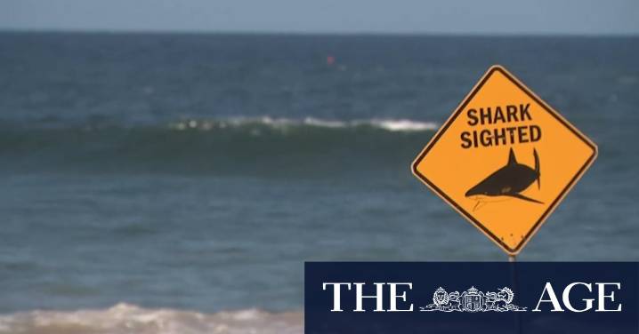 Tributes flow for surfer killed by shark near Dee Why