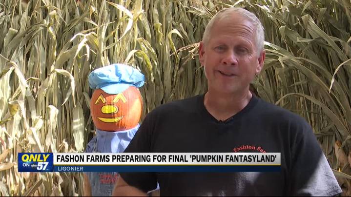 Fashion Farm shares plans for the future