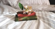 Americans say nostalgia drives them to reread favorite books