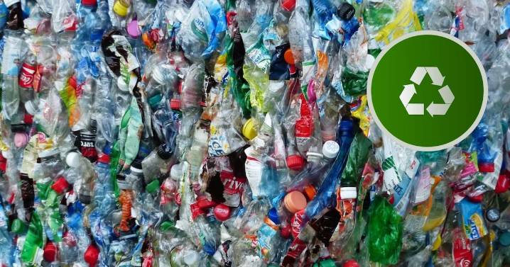 ¿Sabías que existe la posibilidad de utilizar bacterias para producir plástico biodegradable?
