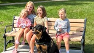 N.J. K-9s sent to Minnesota to lift spirits after Catholic school shooting