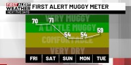 First Alert Weather: Isolated storms possible Friday as heat builds across central Alabama