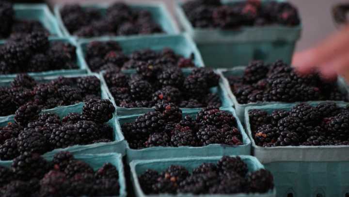 When do local farmers markets close for the year? We checked on 27 markets