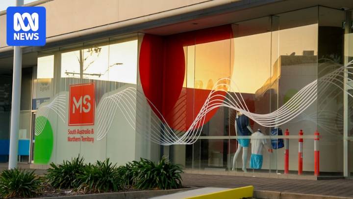 MS support agency MS Society SA & NT outlines three