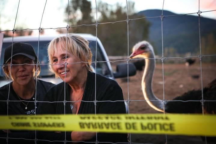 CFIA prepares for cull on B.C. ostrich farm after outbreak of avian influenza