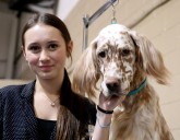 Sudbury Kennel Club hosts dog show in Coniston: photo gallery