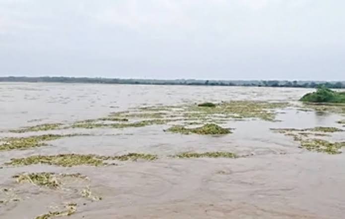 Odisha Rivers Swell After Heavy Rains, Officials Assure No Immediate Flood Risk