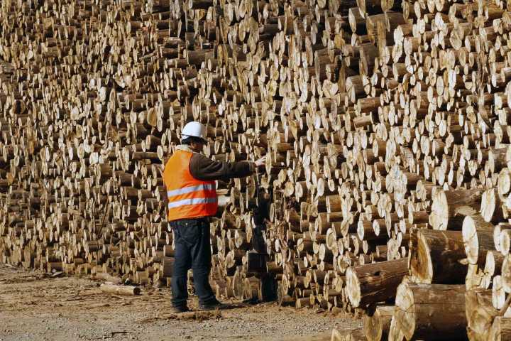 Diálogo industrial en el Biobío: un año de trabajo conjunto entre sindicatos y gobierno