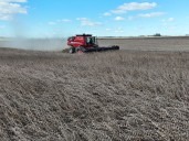 Ingreso de divisas. Cuántos dólares puede aportar el campo con la eliminación de las retenciones