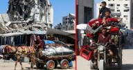 Más de 250,000 desplazados en la ciudad de Gaza tras intensificación de bombardeos; la ONU advierte de crisis humanitaria