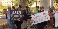 Supporters rally amid battle for Langley Township animal shelter lease