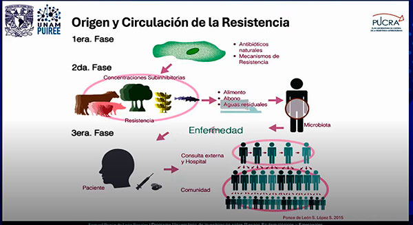 Resistencia antimicrobiana podría conducir a la muerte a diez millones de personas al año, a nivel mundial en 2050